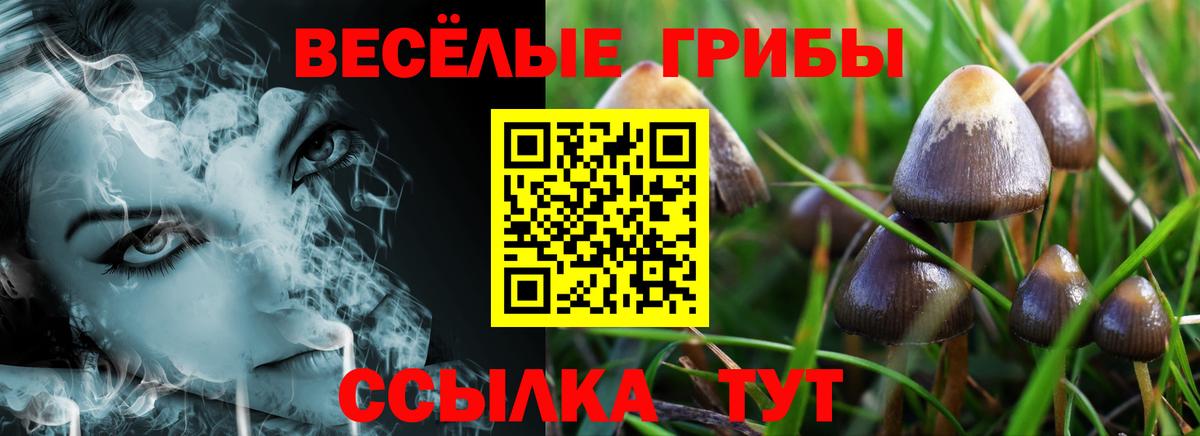 Вологда  наркотики  Вход с VPN  Галлюциногенные грибы ЛСД 